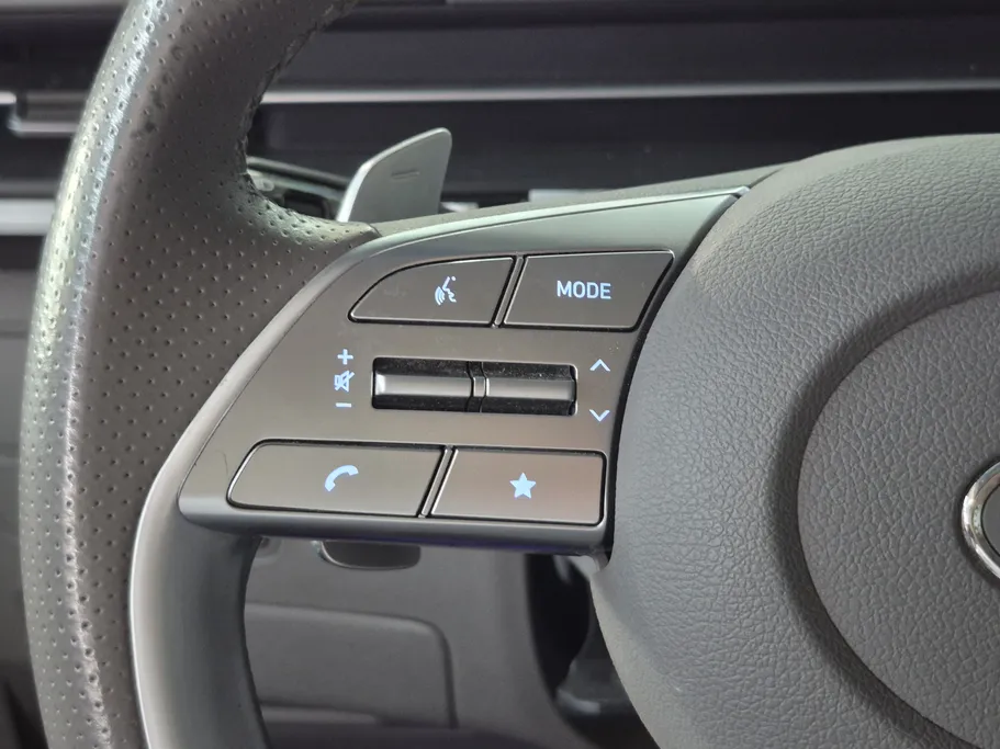 2024 Hyundai Staria VIP 