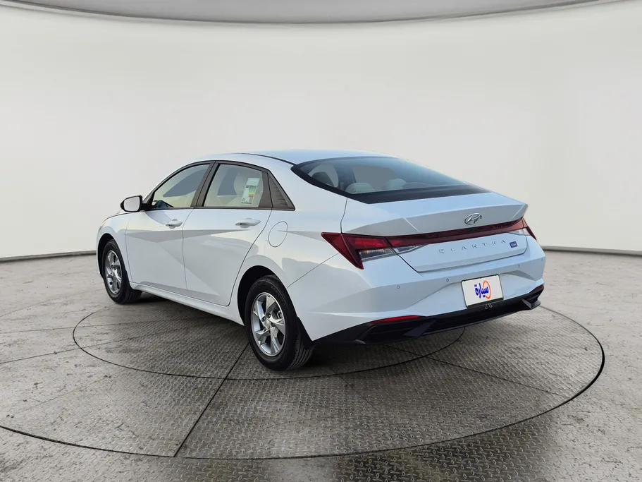 2023 Hyundai Elantra Fleet 