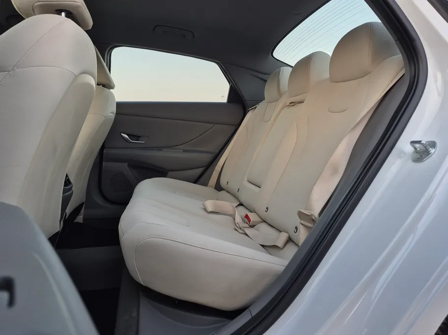 2023 Hyundai Elantra Fleet 