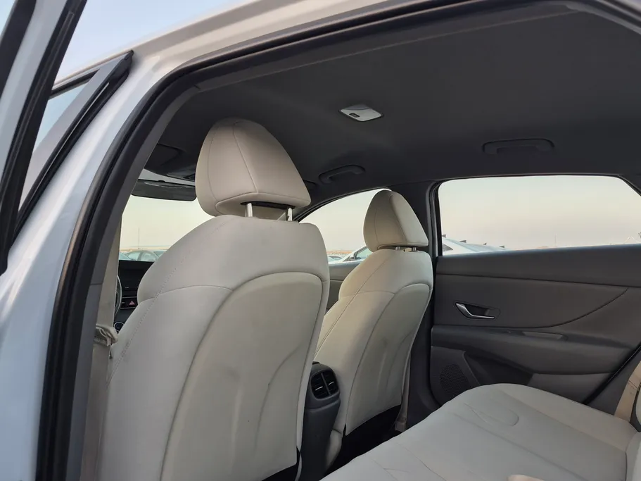 2023 Hyundai Elantra Fleet 