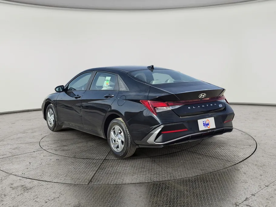 2024 Hyundai Elantra Fleet 