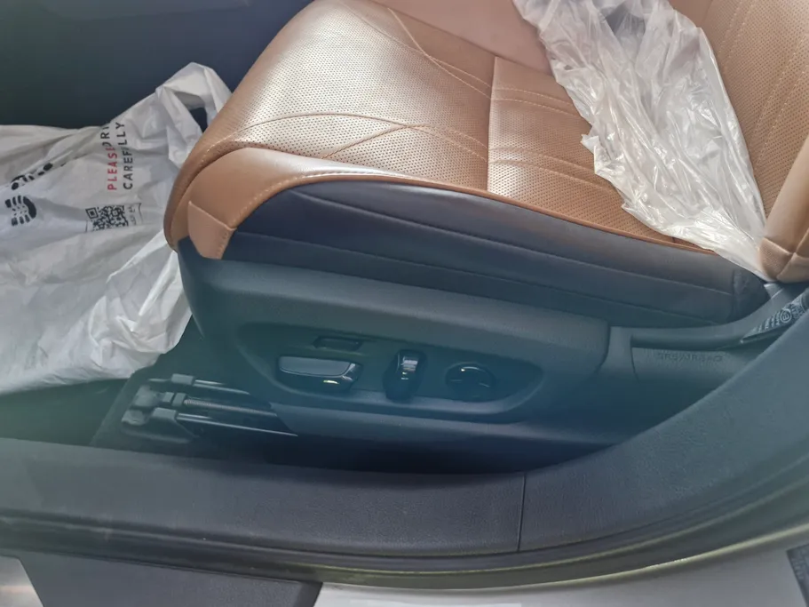 2023 Lexus ES 250 BD Excellence Plus 