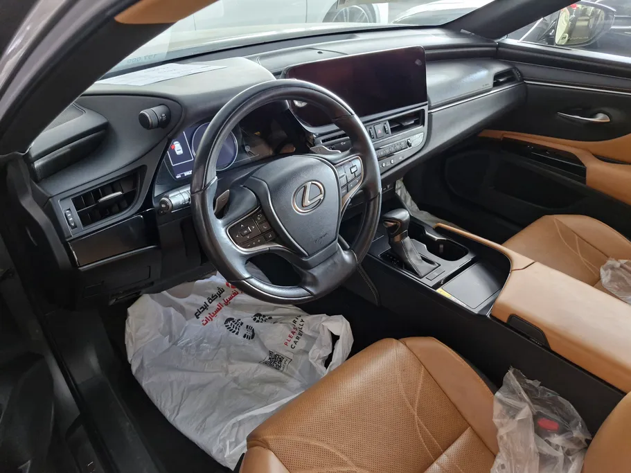 2023 Lexus ES 250 BD Excellence Plus 