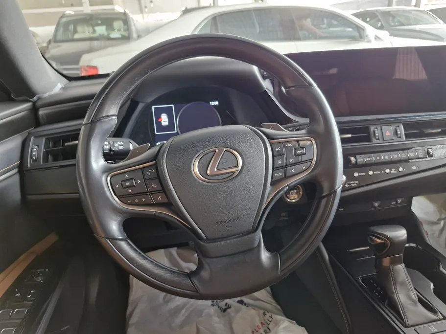 2023 Lexus ES 250 BD Excellence Plus 