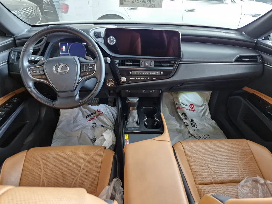 2023 Lexus ES 250 BD Excellence Plus 