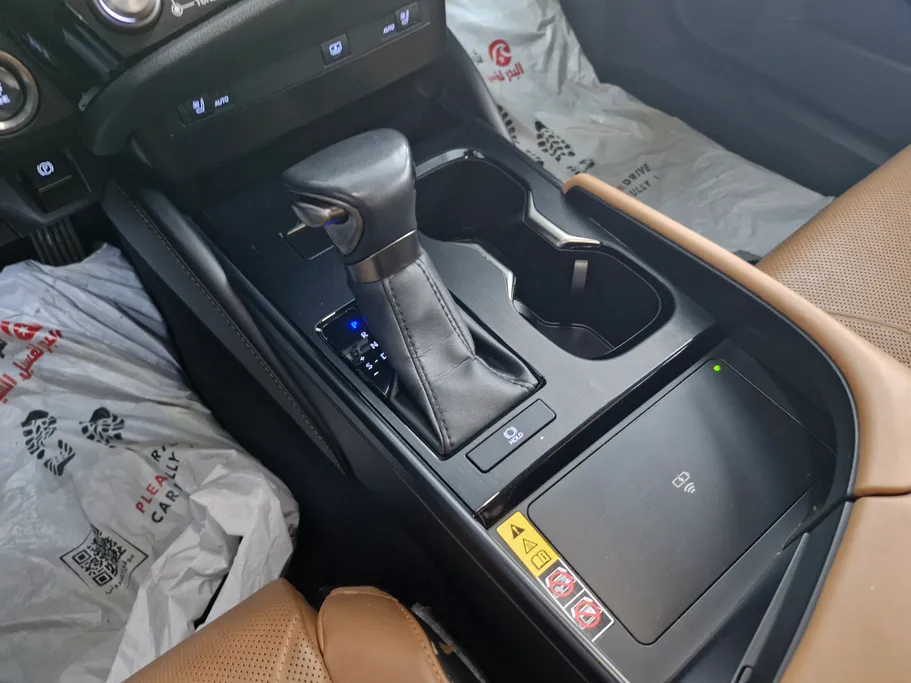 2023 Lexus ES 250 BD Excellence Plus 