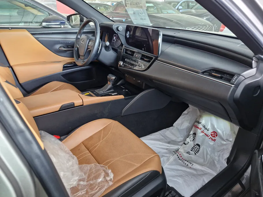 2023 Lexus ES 250 BD Excellence Plus 