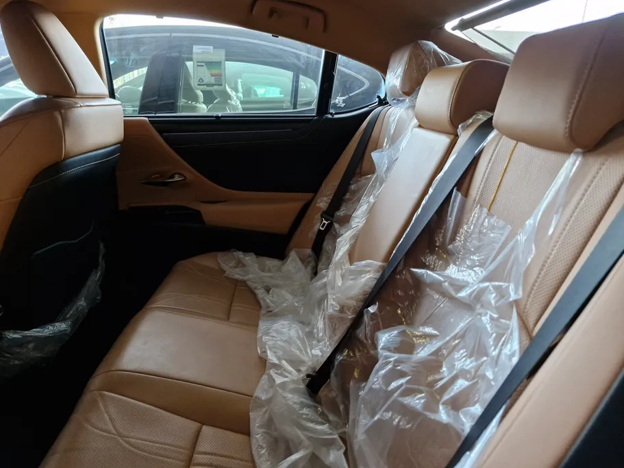 2023 Lexus ES 250 BD Excellence Plus 