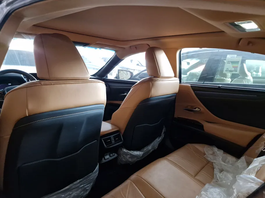 2023 Lexus ES 250 BD Excellence Plus 