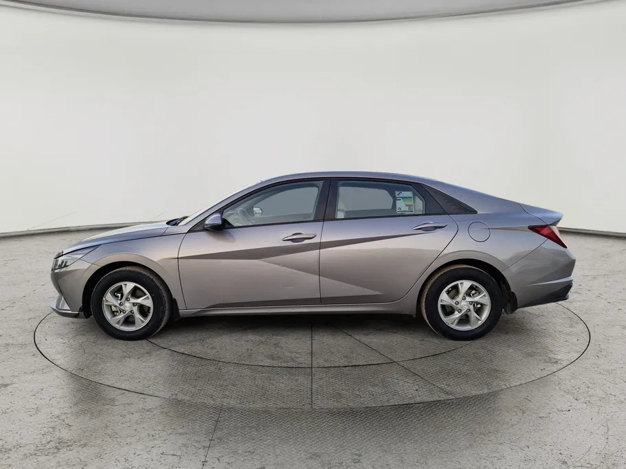 2021 Hyundai Elantra Fleet