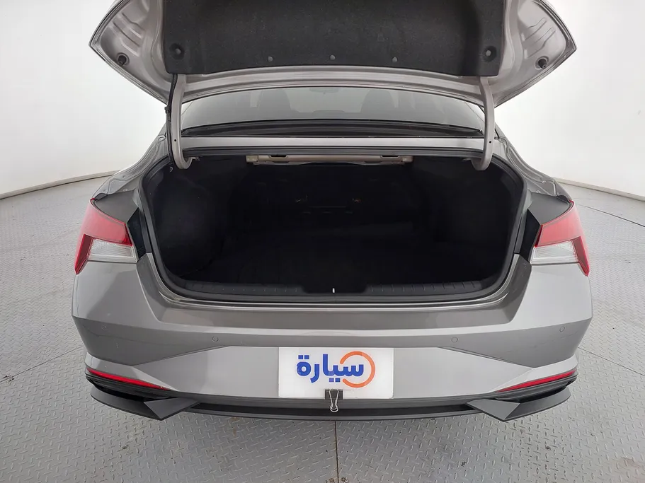 2021 Hyundai Elantra Fleet
