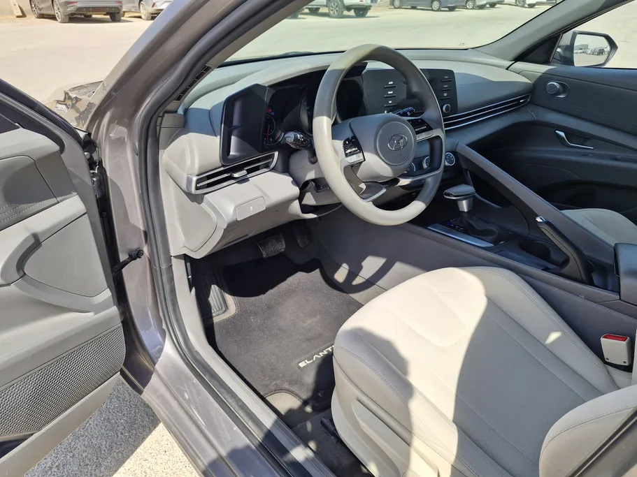 2023 Hyundai Elantra Fleet