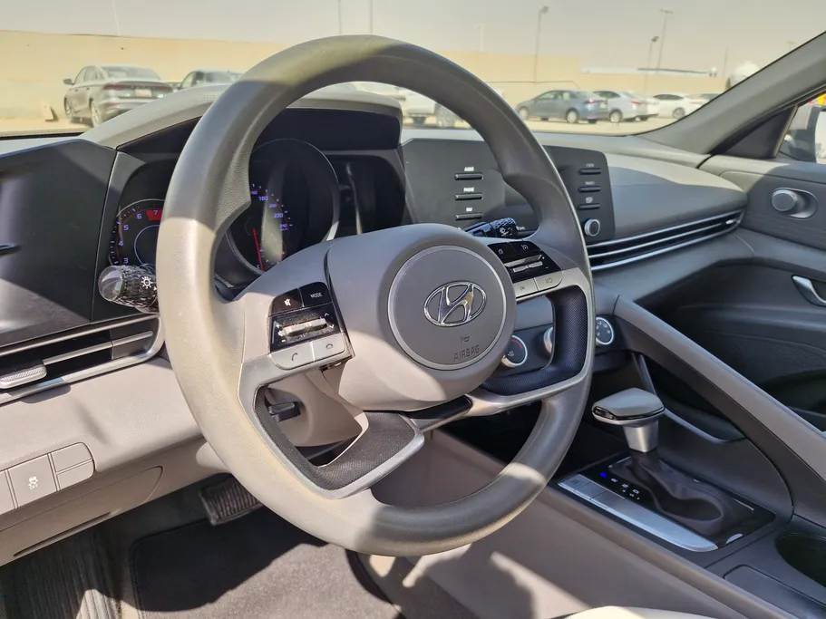 2023 Hyundai Elantra Fleet