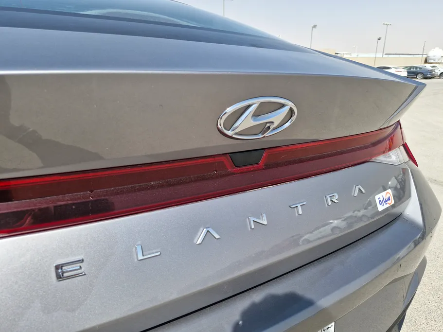 2023 Hyundai Elantra Fleet