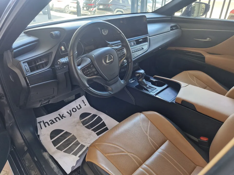 2023 Lexus ES 250 BD Excellence Plus 