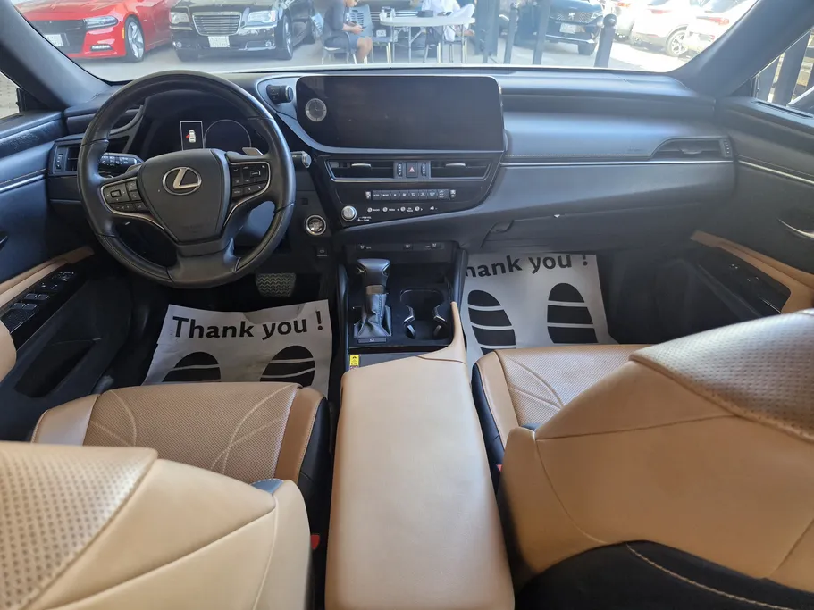 2023 Lexus ES 250 BD Excellence Plus 