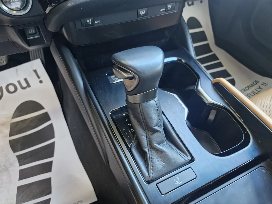 2023 Lexus ES 250 BD Excellence Plus 