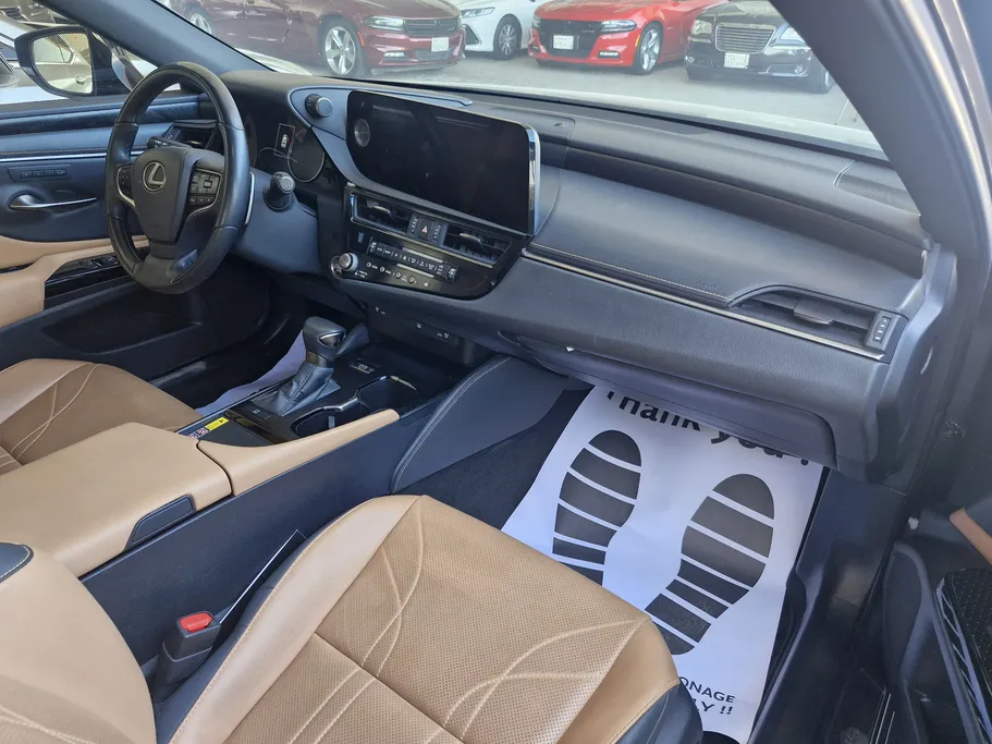 2023 Lexus ES 250 BD Excellence Plus 