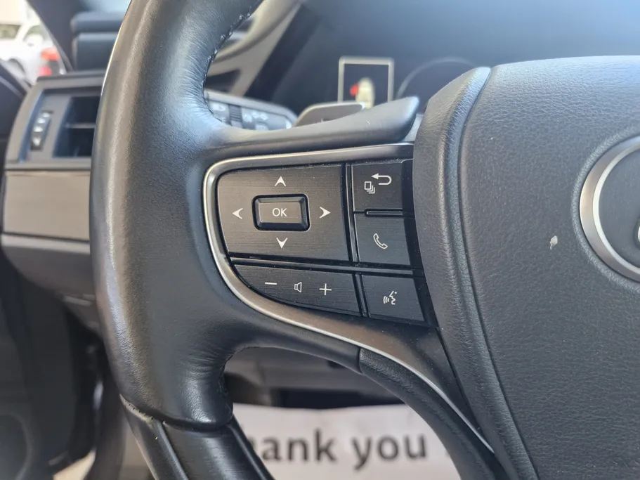 2023 Lexus ES 250 BD Excellence Plus 