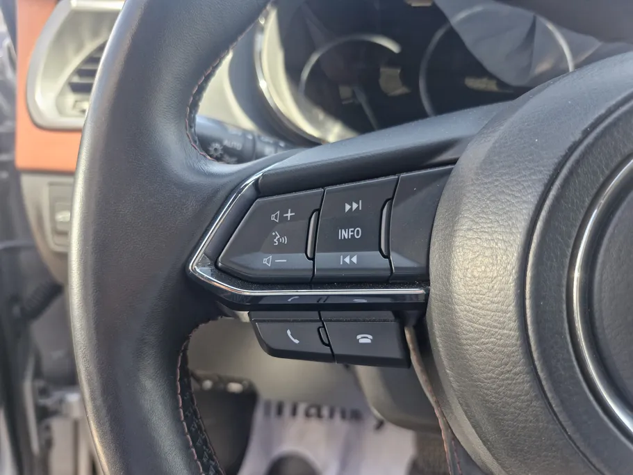 2019 Mazda CX9 Skyactiv  