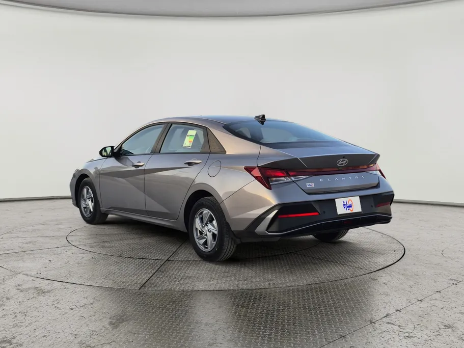 2024 Hyundai Elantra Fleet 