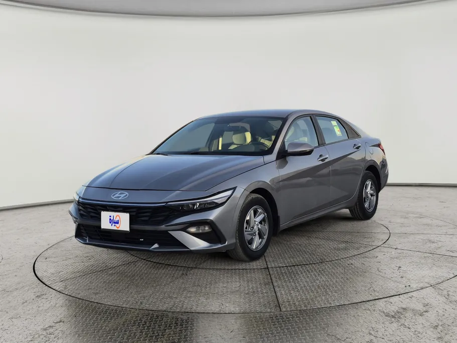 2024 Hyundai Elantra Fleet 