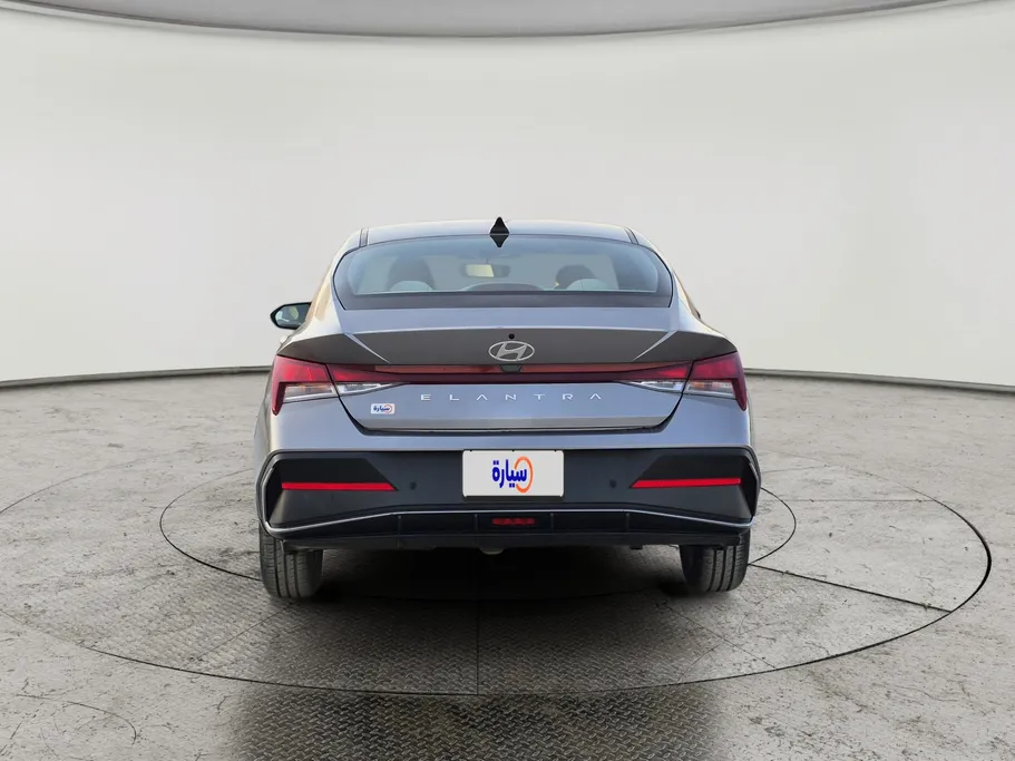 2024 Hyundai Elantra Fleet 