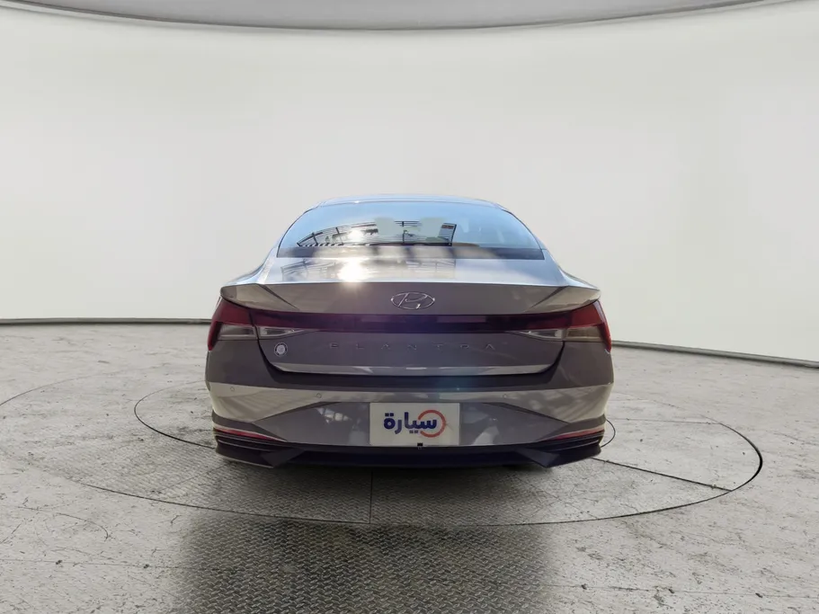 2021 Hyundai Elantra Fleet 