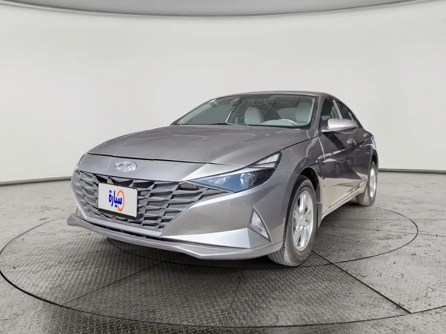 2021 Hyundai Elantra Fleet 
