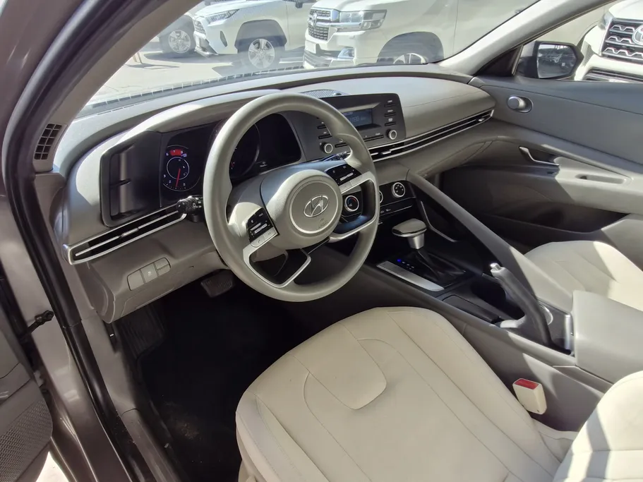 2021 Hyundai Elantra Fleet 