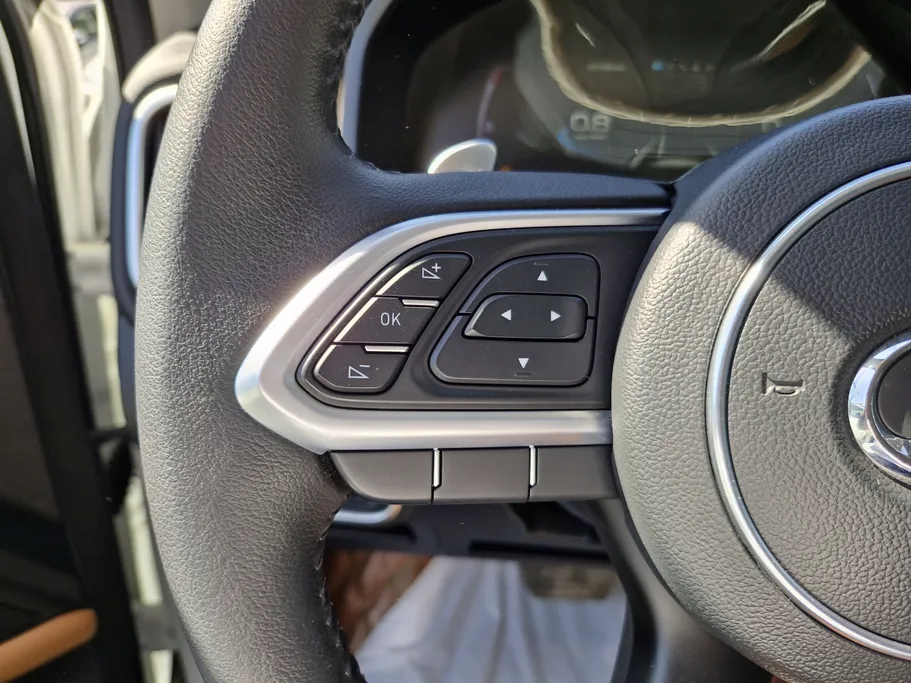 2024 Great Wall Poer Luxury  