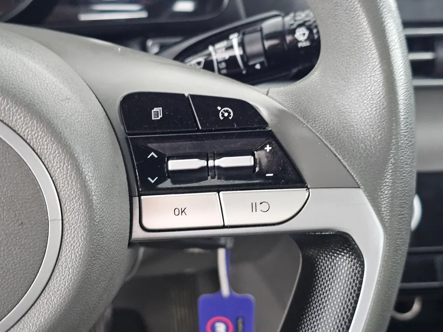 2022 Hyundai Elantra Fleet 