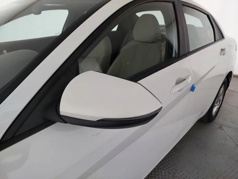 2021 Hyundai Elantra Fleet 