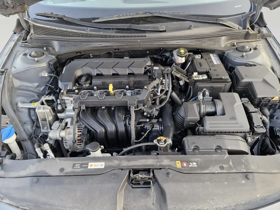 2024 Hyundai Elantra Fleet 