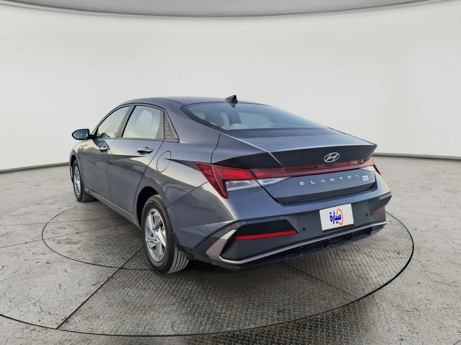 2024 Hyundai Elantra Fleet 