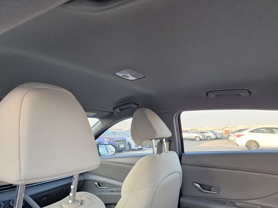 2024 Hyundai Elantra Fleet 