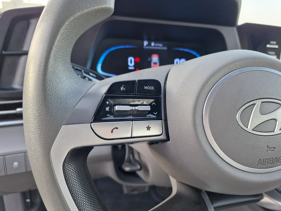 2024 Hyundai Elantra Fleet 