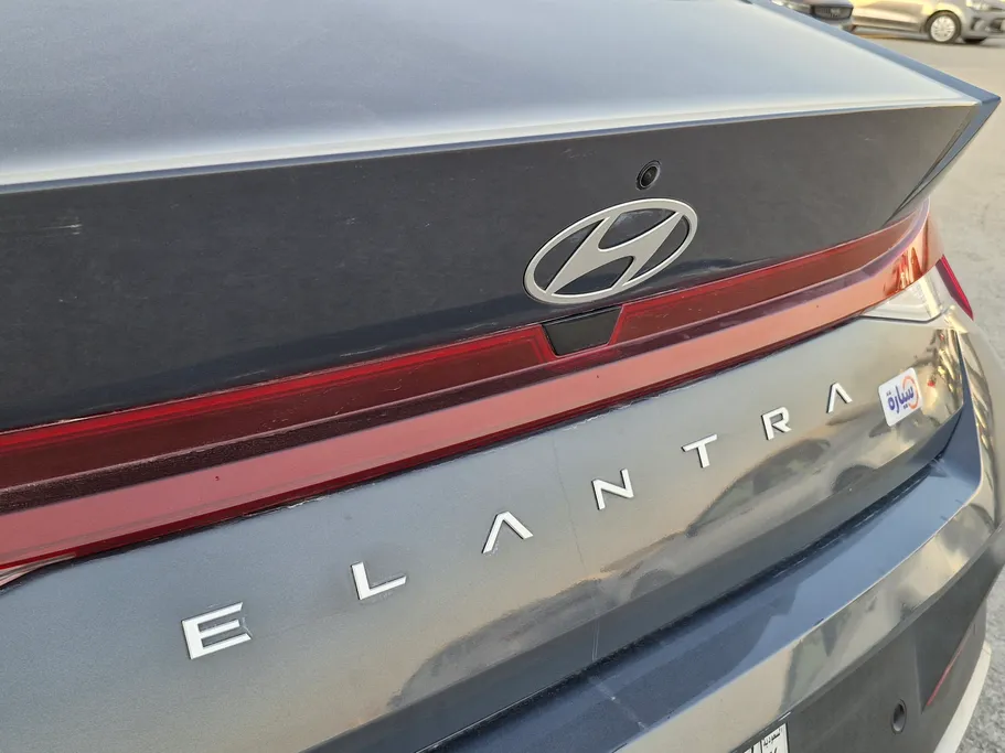 2024 Hyundai Elantra Fleet 