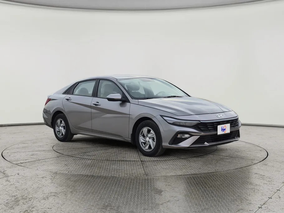 2024 Hyundai Elantra Fleet 