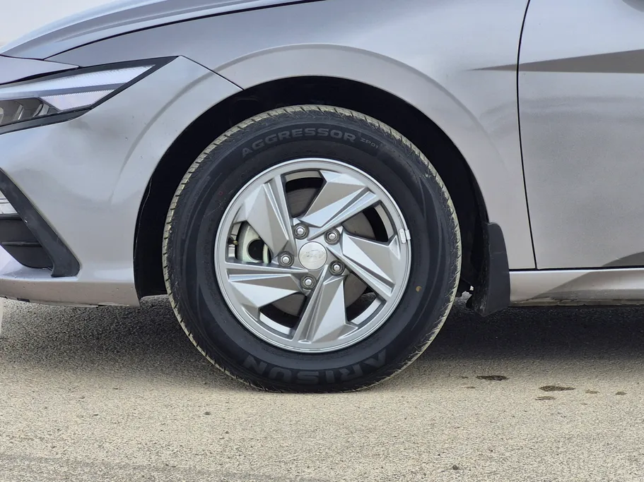 2024 Hyundai Elantra Fleet 