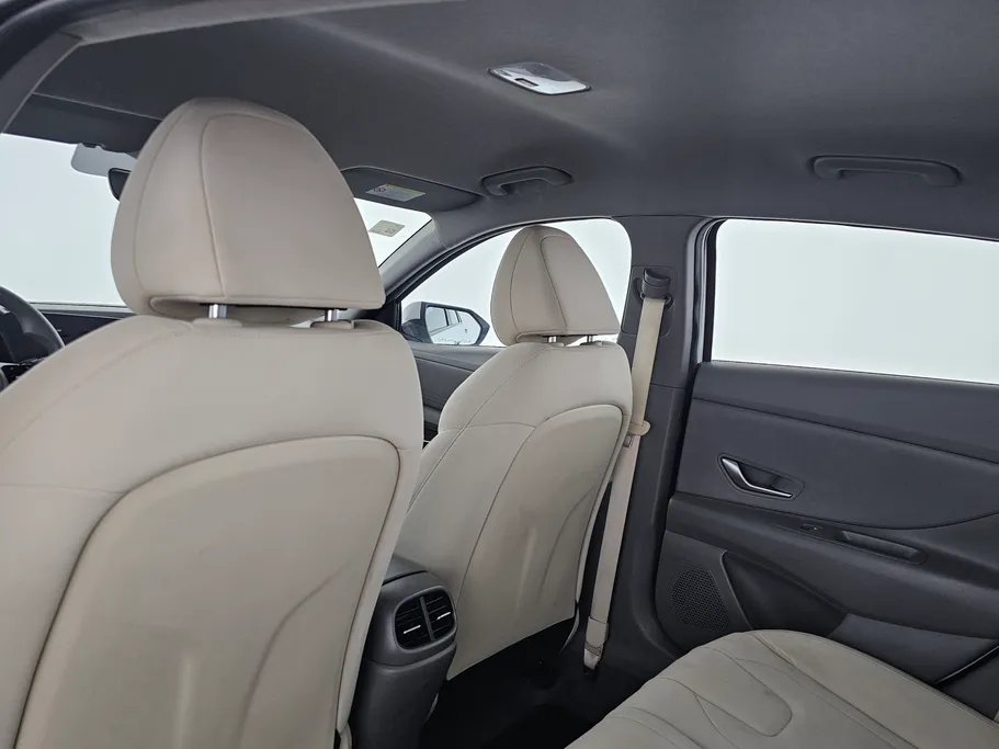 2021 Hyundai Elantra Fleet 