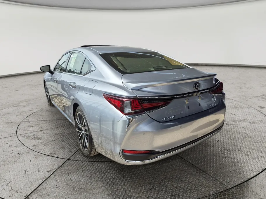 2023 Lexus ES 250 BD Excellence Plus 