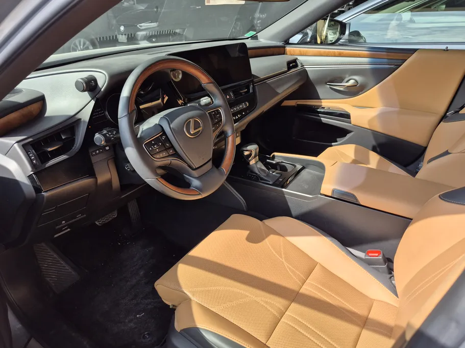 2023 Lexus ES 250 BD Excellence Plus 