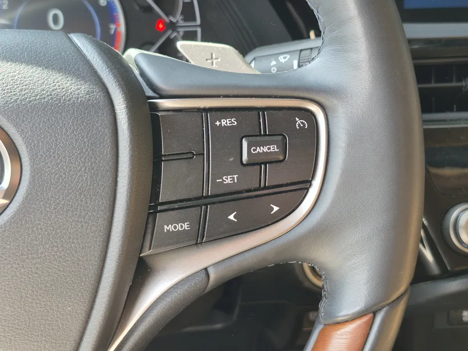 2023 Lexus ES 250 BD Excellence Plus 