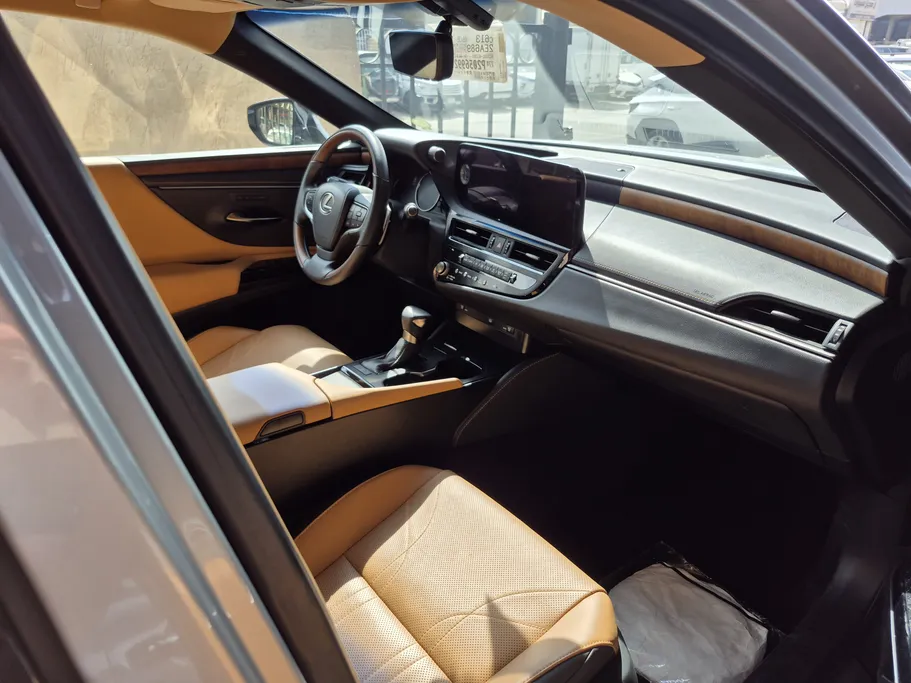 2023 Lexus ES 250 BD Excellence Plus 