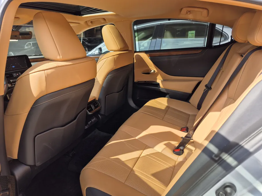 2023 Lexus ES 250 BD Excellence Plus 