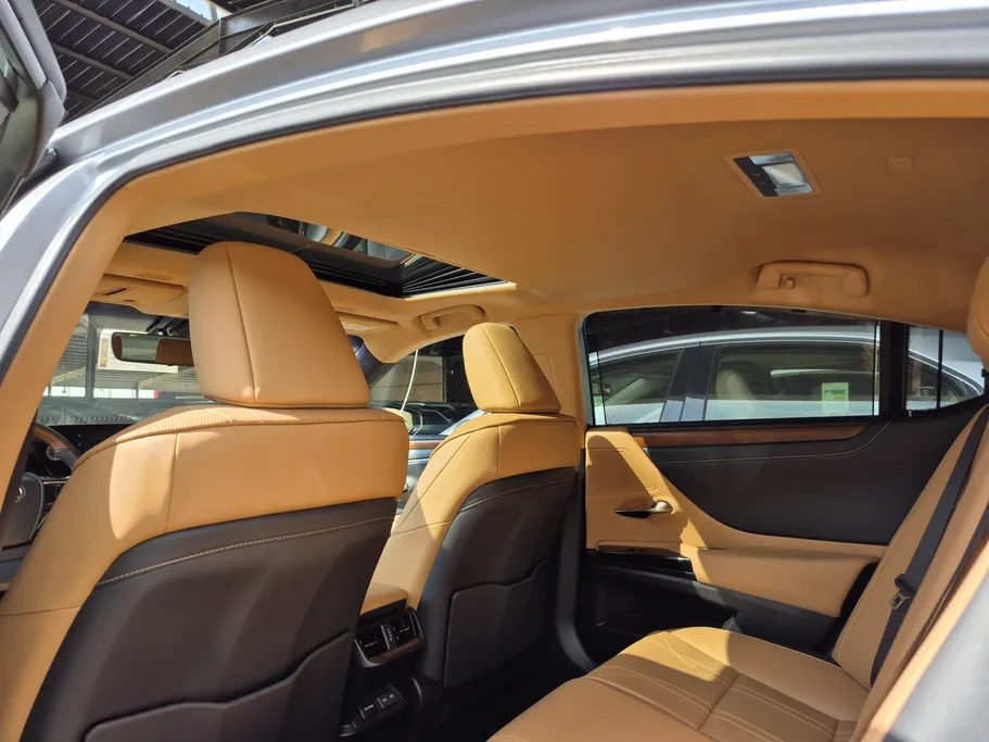 2023 Lexus ES 250 BD Excellence Plus 