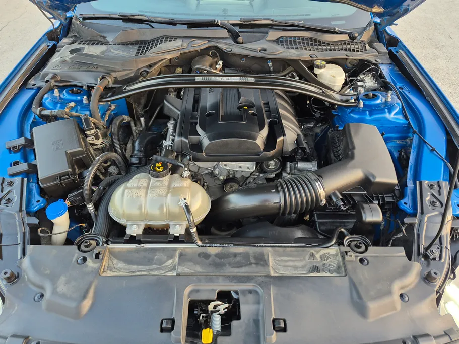 فورد موستنج ايكوبوست 2021 