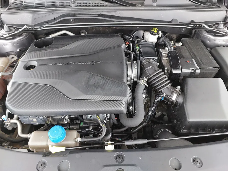 شانجان يوني في Elite 2024 