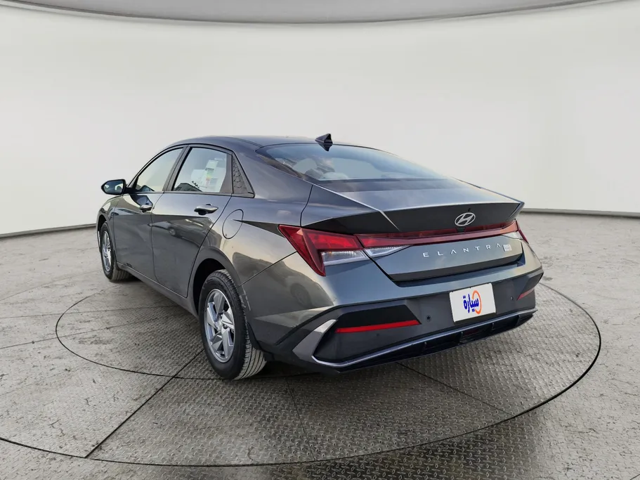 2024 Hyundai Elantra Fleet 